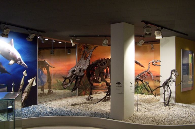 Imagen del Museo de Paleontología