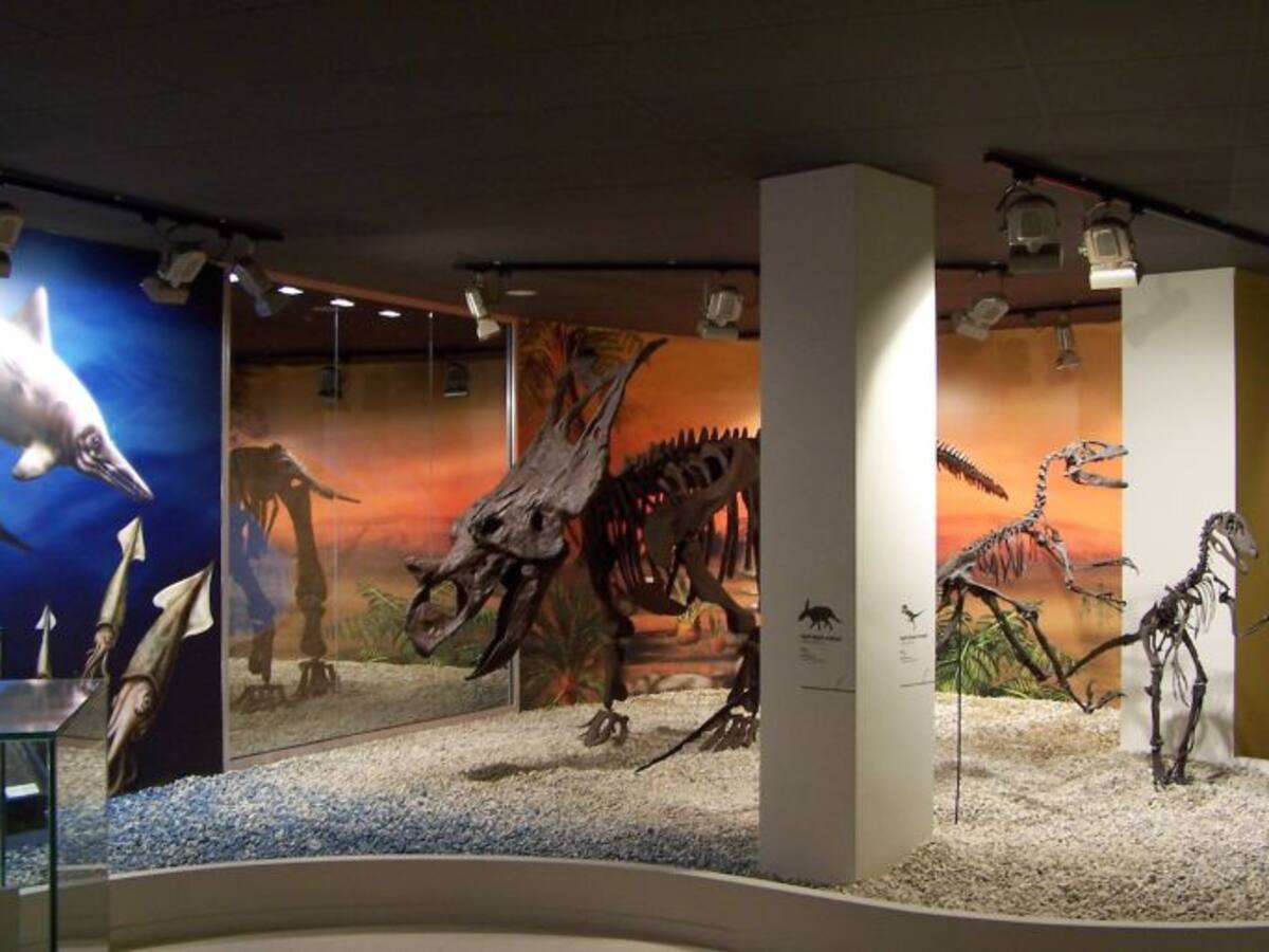 El MUPE organiza actividades para celebrar el Día de la Tierra