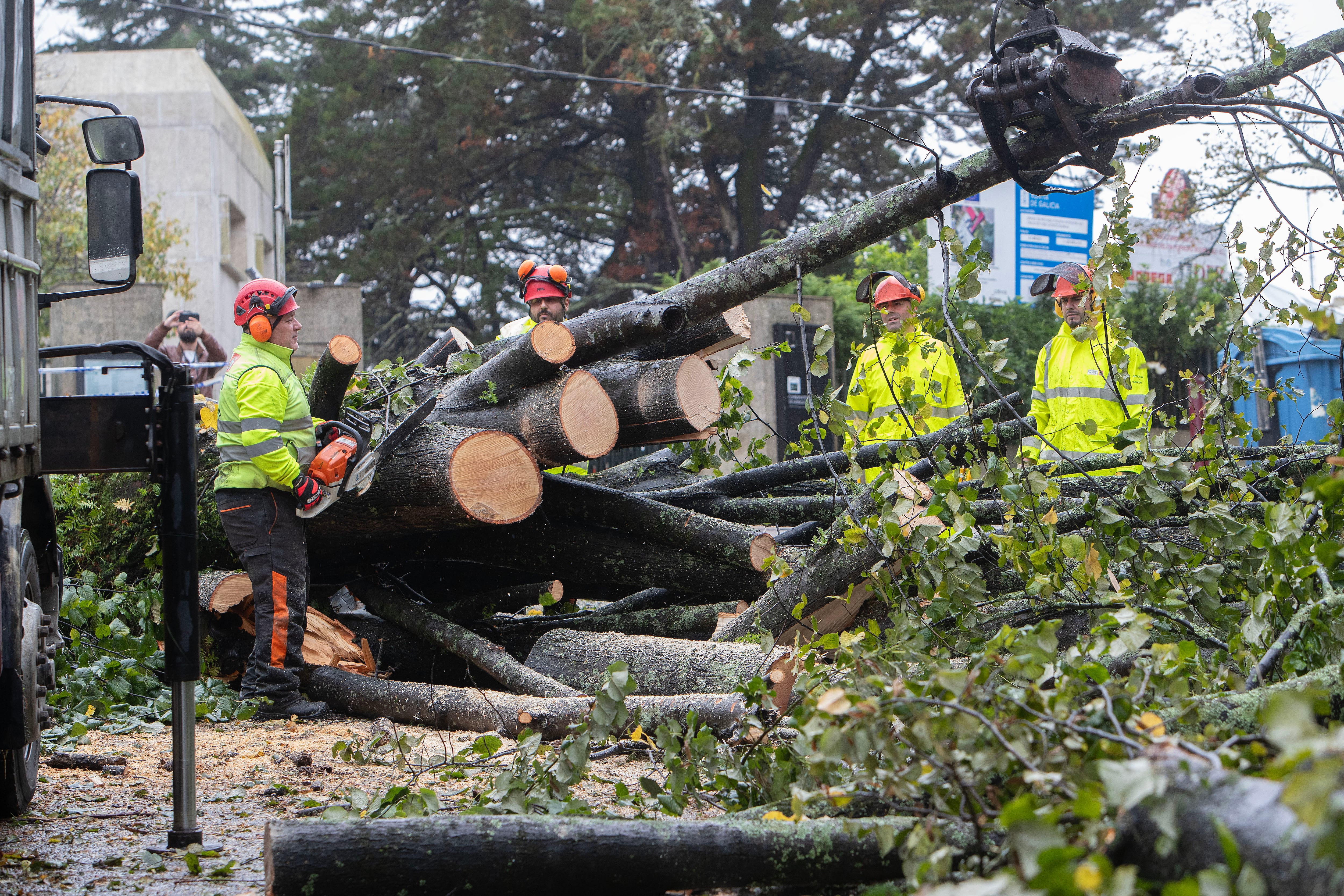 VGO.Vigo(Pontevedra)9/10/2024.- Los operarios de Parques y Jardines talan los árboles caídos en el Parque del Castro de Vigo. La potente borrasca atlántica, antiguo huracán Kirk, mantiene este miércoles en alerta a toda España, salvo el archipiélago de Canarias, por rachas de viento de 120 kilómetros por hora además de mala mar en el litoral, con olas de hasta 7 metros y fuertes lluvias, que acumularán 100 litros por metro cuadrado en 12 horas. EFE / Salvador Sas
