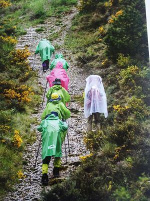 'Menuda cuesta' ocupó el segundo lugar