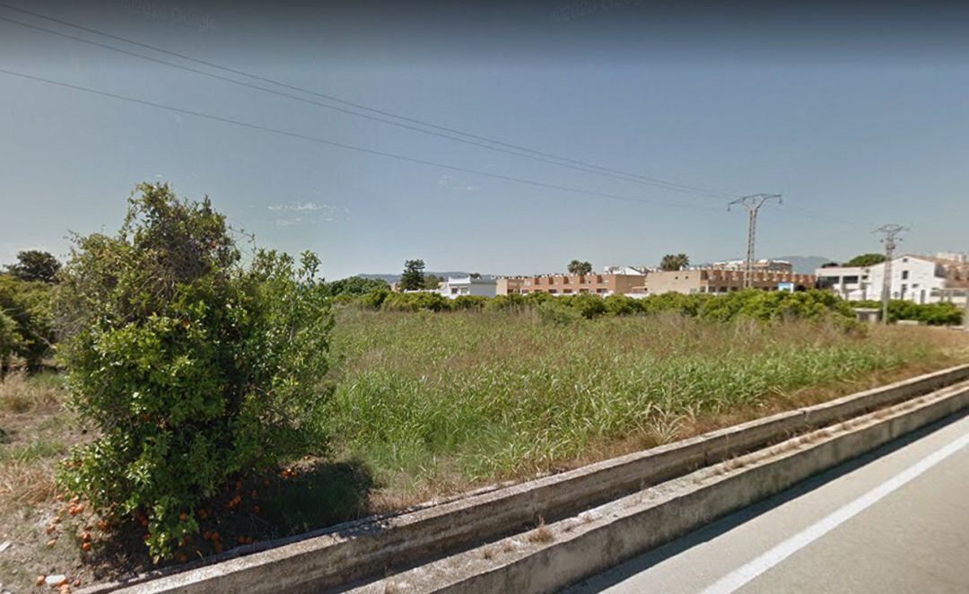 Campos sin cultivar en Guardamar de la Safor