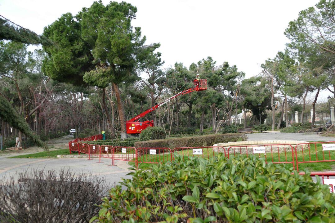 Balizado de parques y jardines Finca Liana