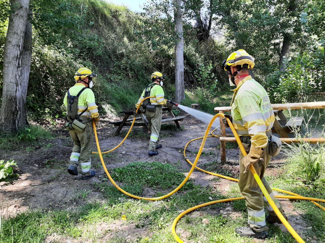 Bomberos forestales regando el vilano del chopo concentrado en un paraje de la comarca.