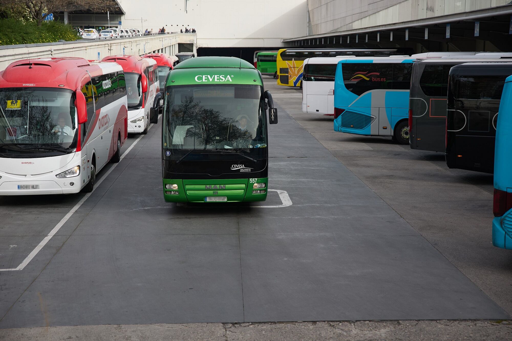 Varios autobuses aparcados en una estación.