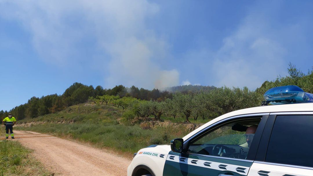 Paraje en el que ha ocurrido el incendio