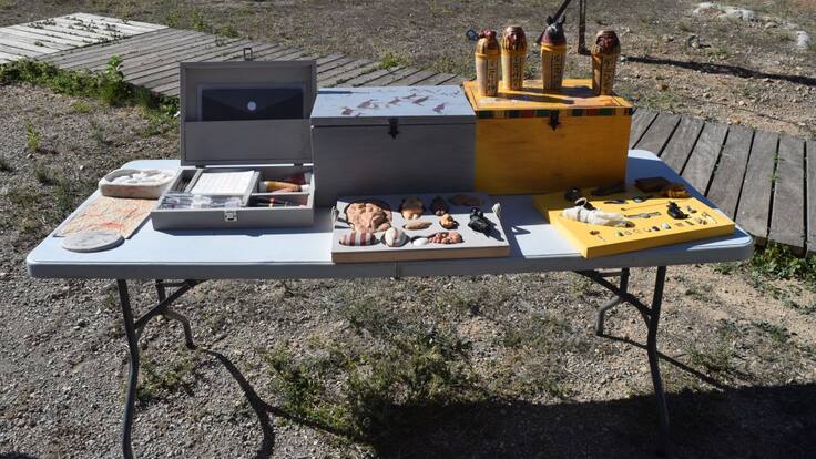 Visitas presenciales y online en el programa del Museo Arqueológico para el curso 2020-2021