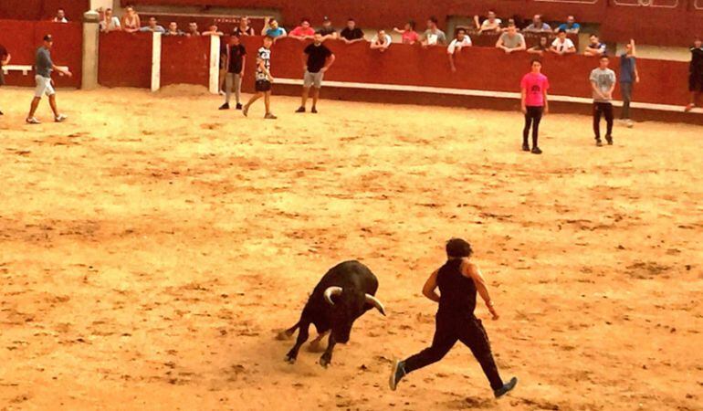 Suelta de reses en `La Cubierta´ este martes