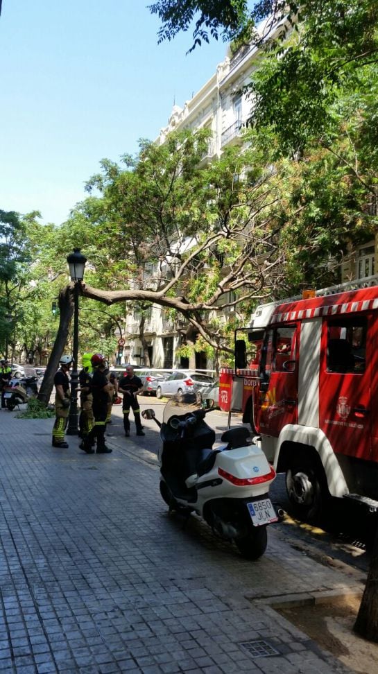 Los bomberos trabajan en la retirada del árbol caído en la calle Sorní