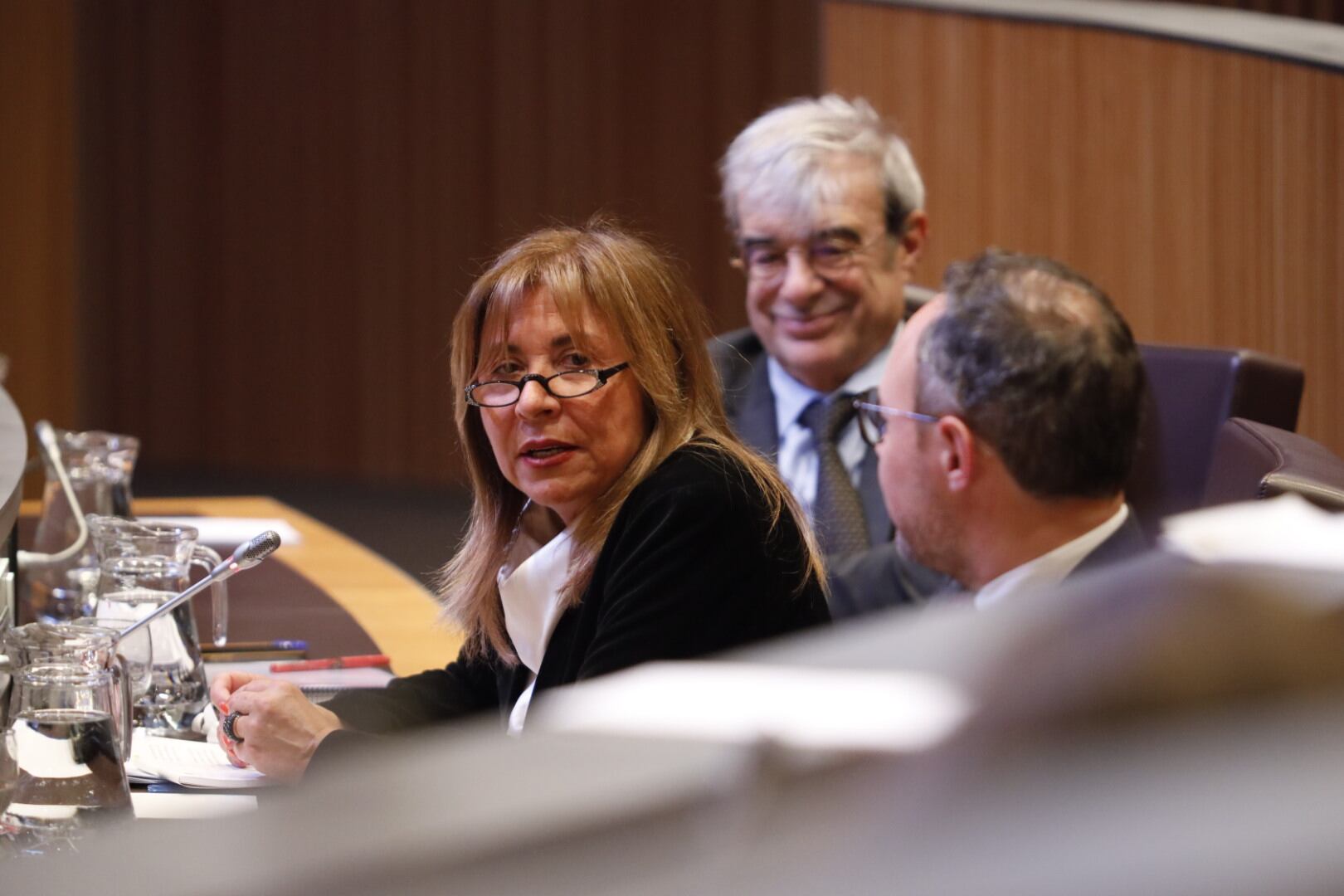 La ministra Conxita Marsol ha defensat la llei de millora del poder adquisitiu i de l'aplicació d'una taxa a la inversió estrangera en immobles