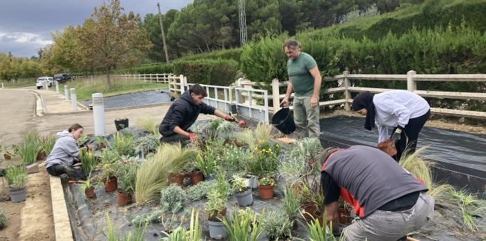 Jardineros trabajando en la creación del &quot;jardín seco&quot;, en el entorno del CDAN en Huesca