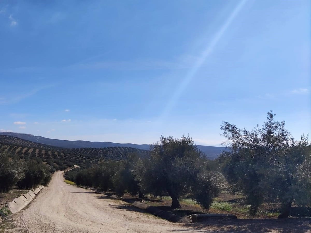 El 10 de noviembre, fecha prevista para que comience a funcionar la guardería rural