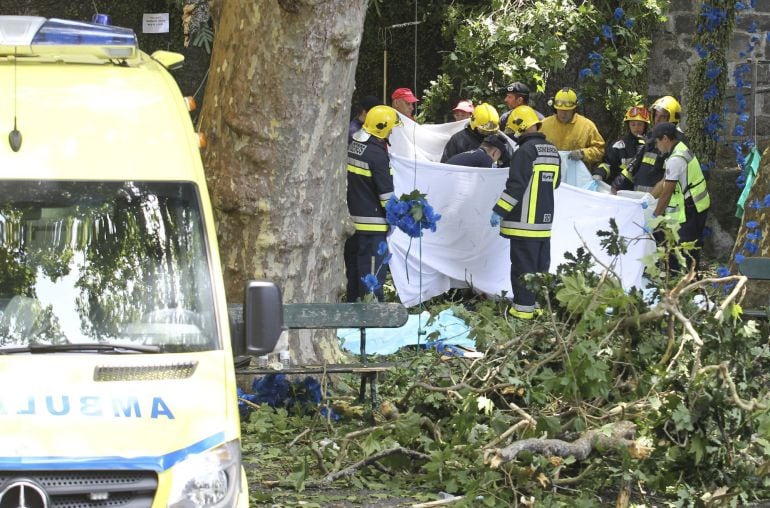 Bomberos y trabajadores de los equipos de rescate trabajan en el lugar en el que un árbol ha caído hiriendo a varias personas