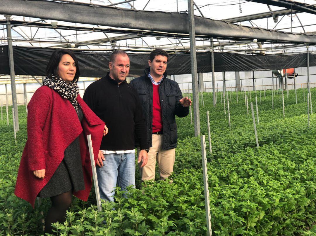 Sergio Romero, Ciudadanos, durante una visita a un invernadero de Chipiona