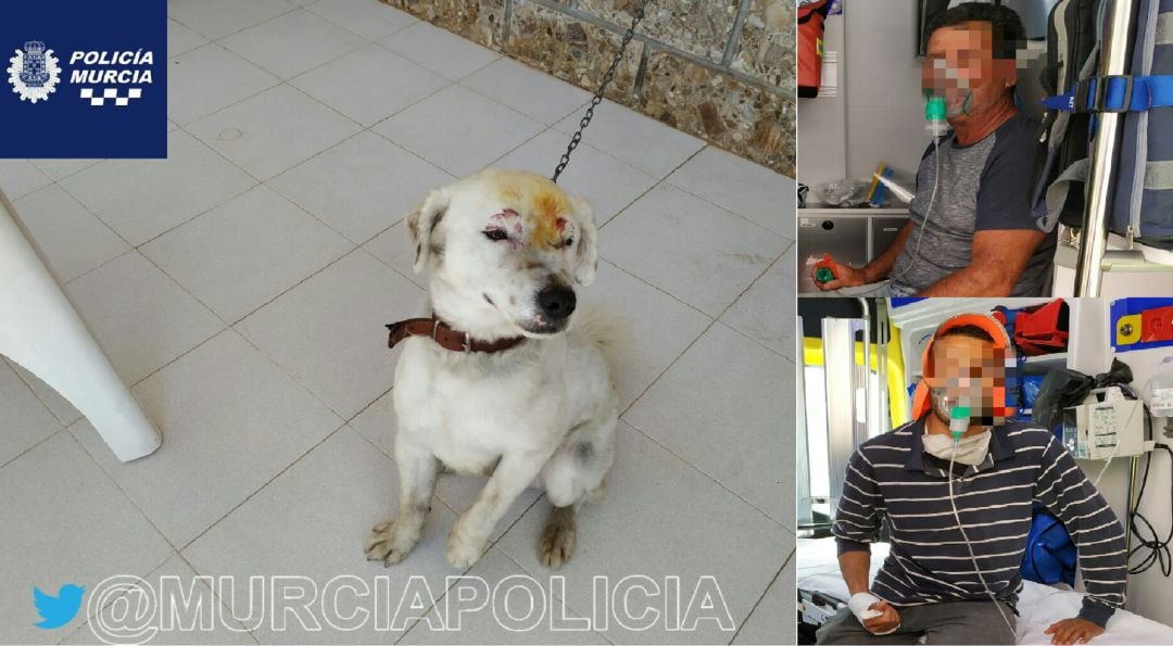 El perro y sus dos salvadores