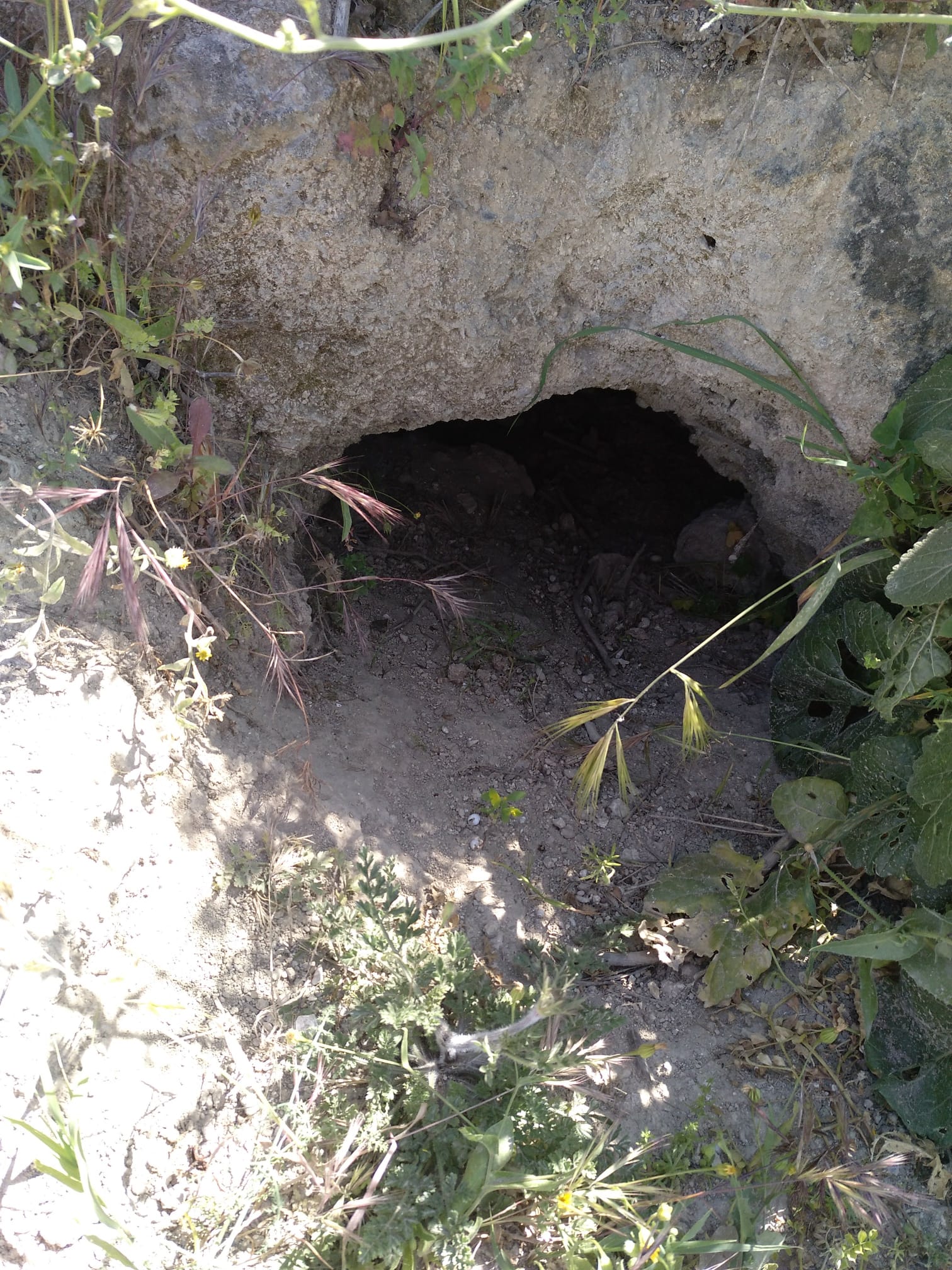 Uno de los acceso a las cuevas en Churriana (Málaga)