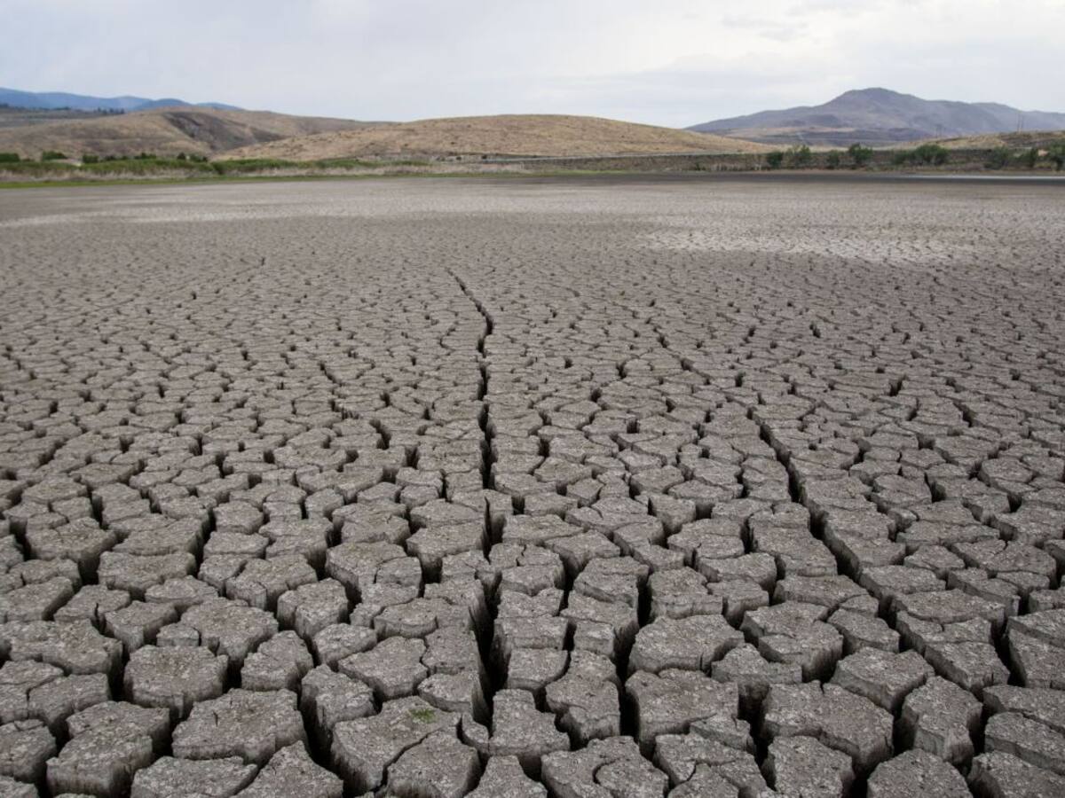 I Jornadas Experiencias para la mitigación del cambioclimático en el Campo de Gibraltar