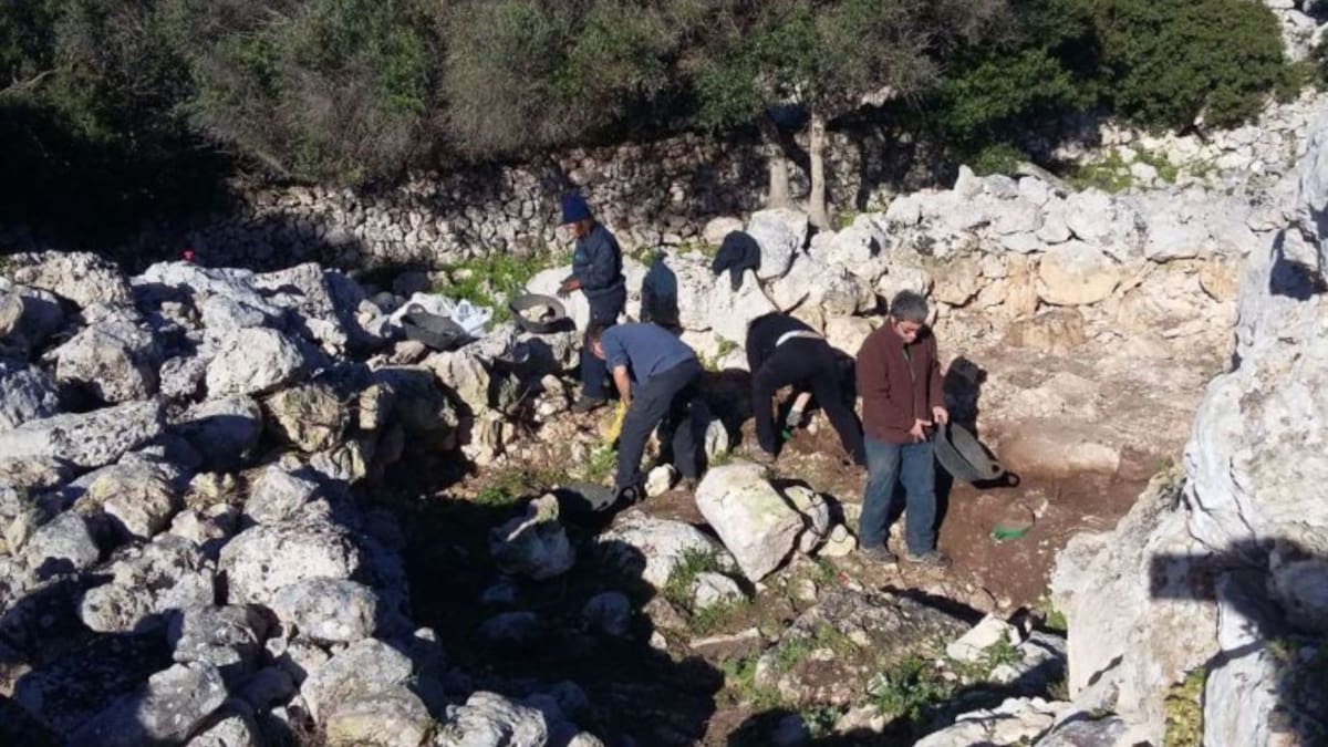 El Consell aporta 200.000 euros per finançar investigacions de patrimoni