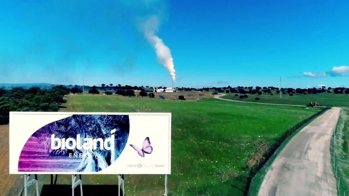 Piden a la Junta que tome las medidas pertinentes para acabar con los humos de la orujera de La Carolina