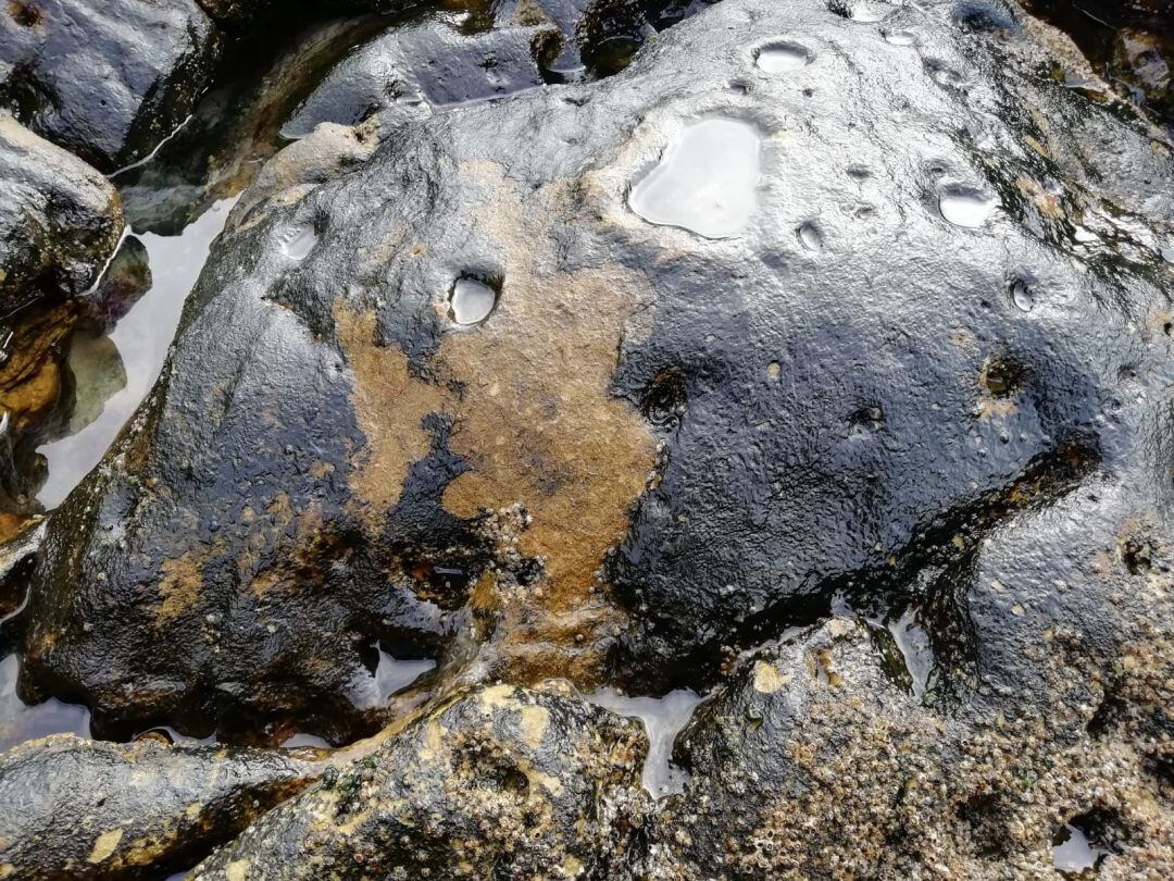 Una roca de las piscinas de Baelo Claudia, en Bolonia