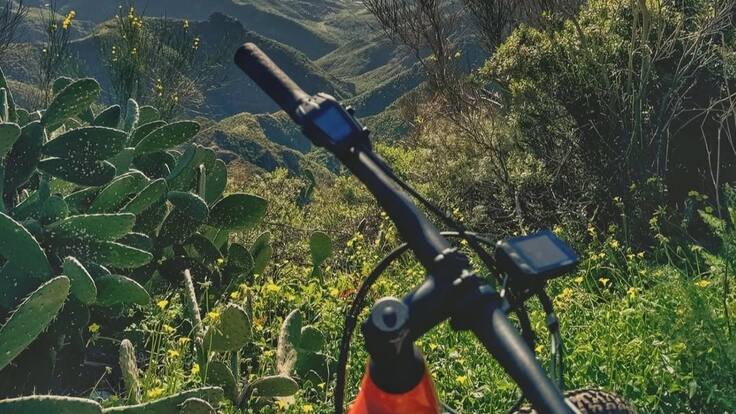 Anthony: "No nos pensamos dos veces quedarnos en la isla"