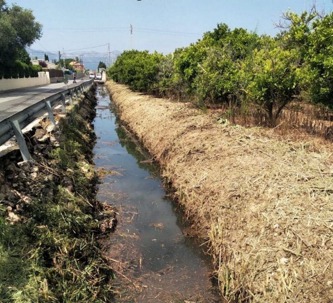 Trabajos en acequias y márgenes para los nuevos contratados