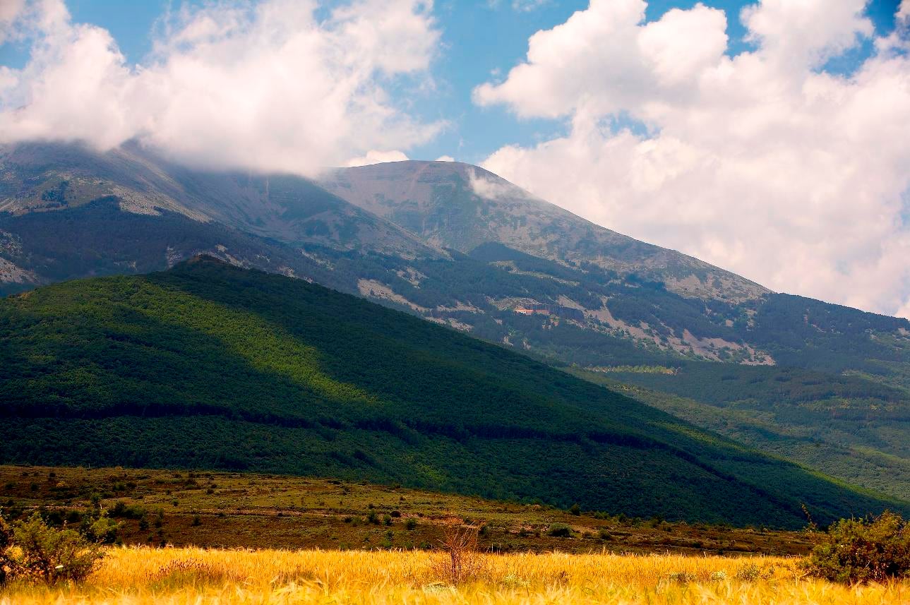 Moncayo.