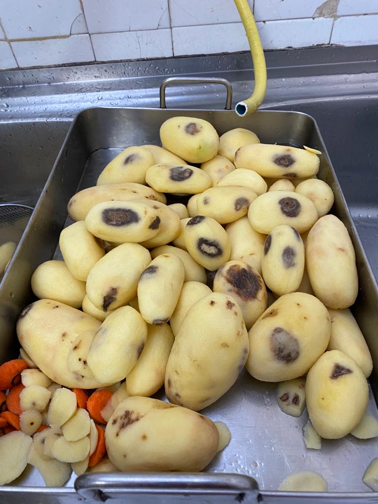 Patatas podridas que les enviaron por segunda vez