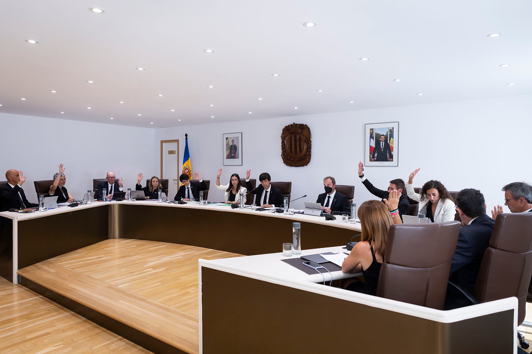 El consell de comú de la capital va aprovar per assentiment les bases del programa Reviu