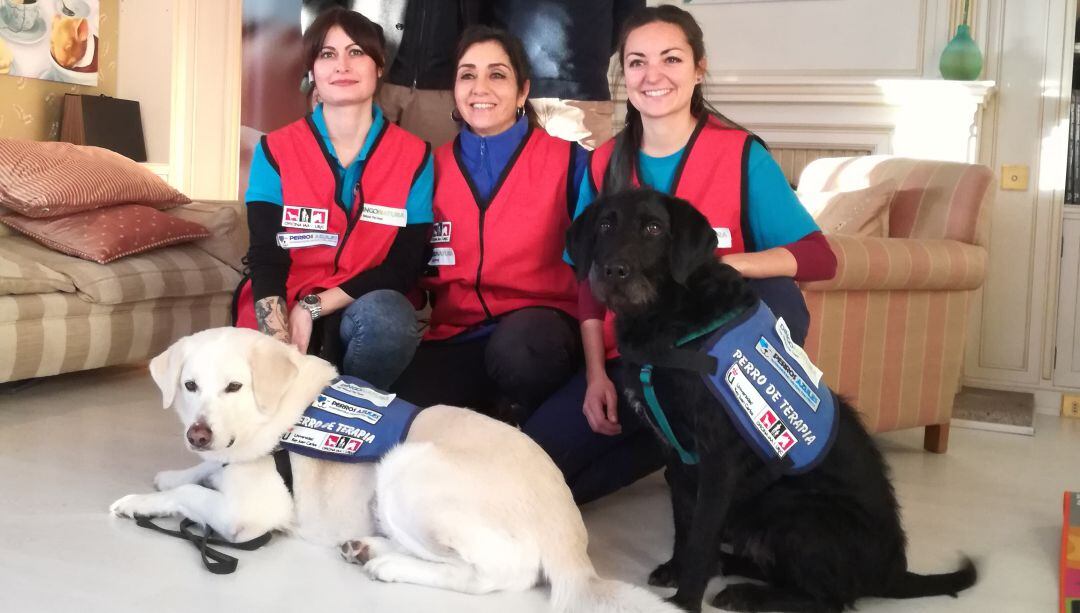 Una docena de perros participan en las actividades terapéuticas de esta oficina.