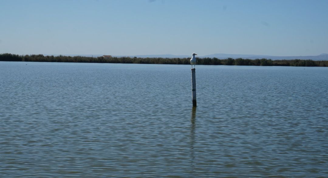 Lago de la Albufera de València.