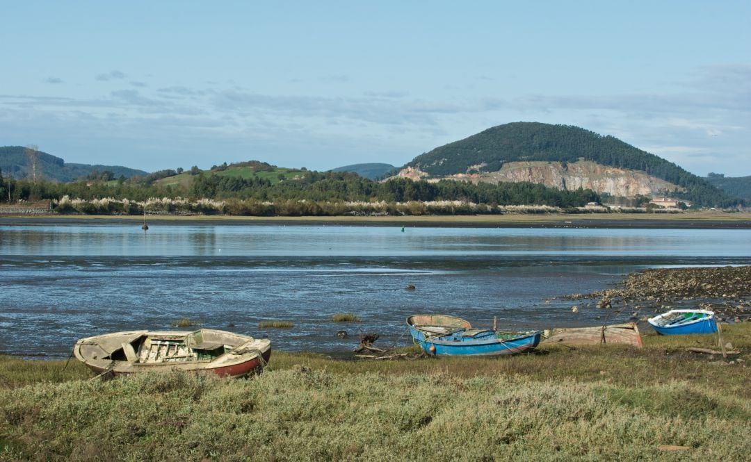 Marismas de Santoña, Victoria y Joyel.