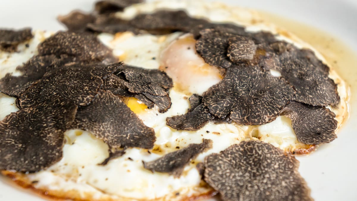 Comer Rico: Trufas en el restaurante Norte en Barracas (Castellón)