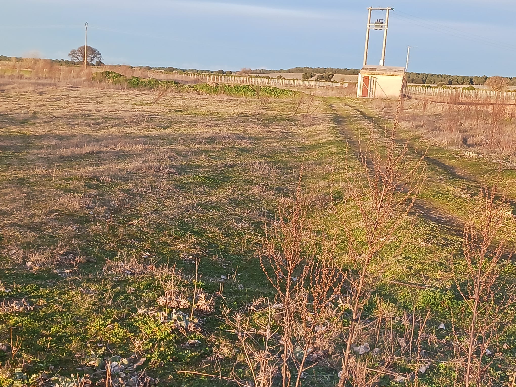 Terrenos donde está previsto el nuevo pozo