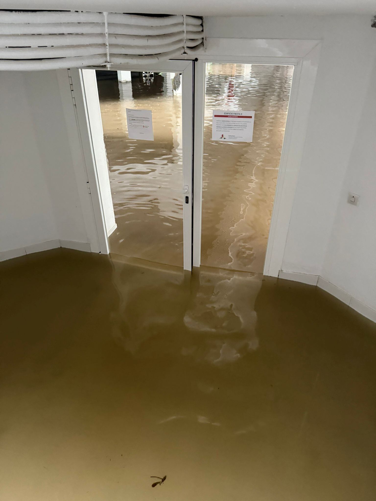 Documentos de las inundacions en Ibiza cedidos a la Cadena SER por Bianca Roig