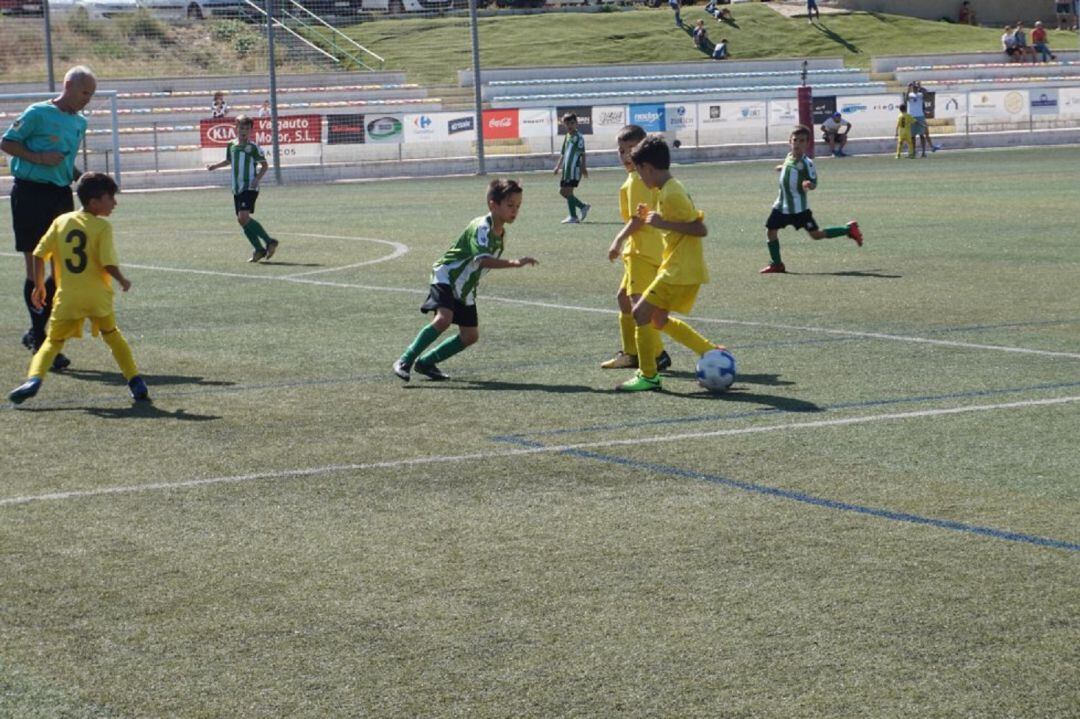 El fútbol base volverá a la competición el próximo día 28