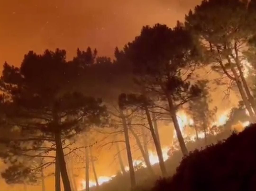 Incendio forestal en el paraje Peña Blanca de Jubrique (Málaga)