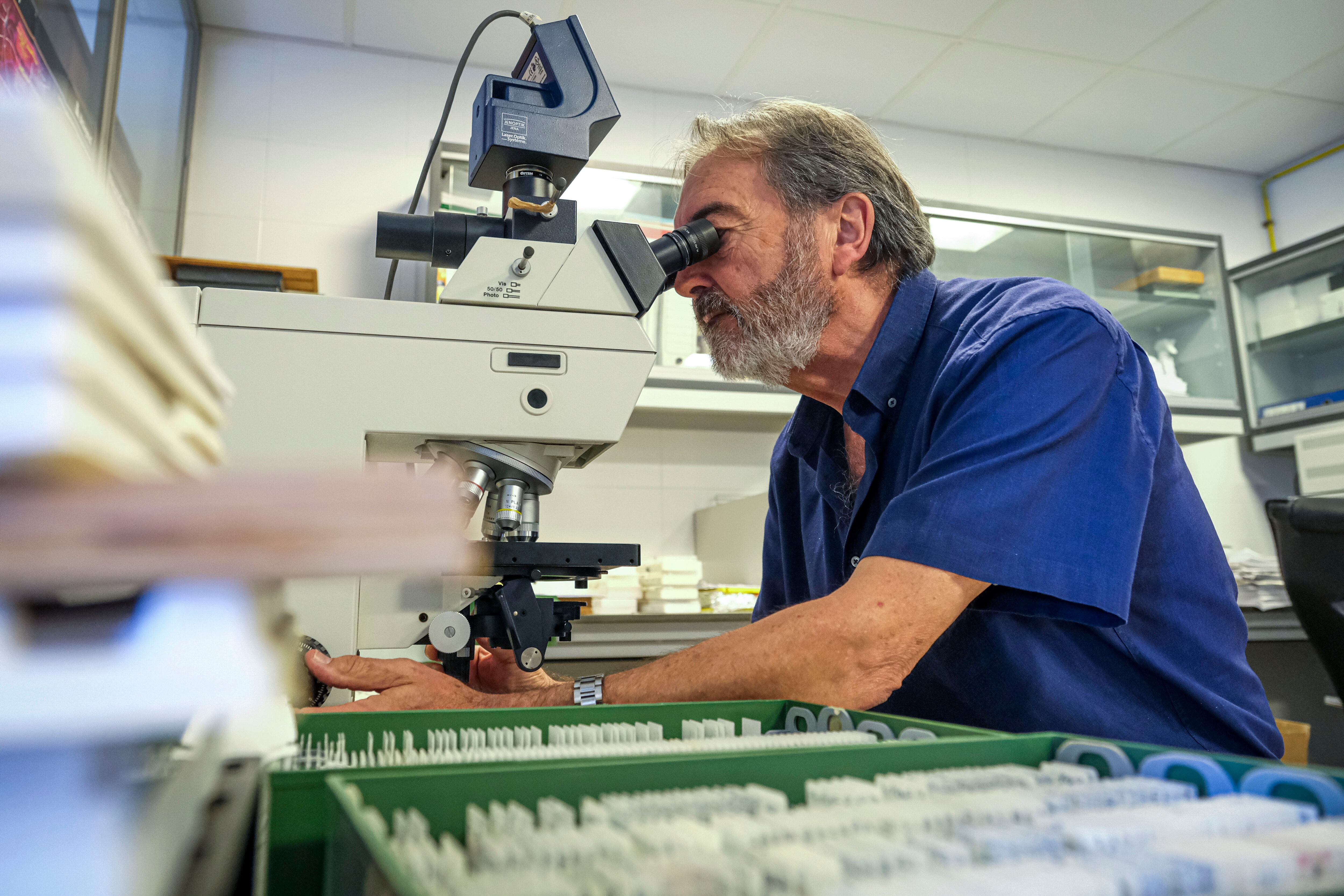 GRAFCVA8979. ALICANTE, 22/08/2025.- Una novedosa investigación sobre los efectos de la pandemia concluye que las niñas y niños de 5 años que contrajeron el virus de la covid-19 en el embarazo de sus madres (de forma congénita) y antes de las primeras vacunas presentan un aumento del 10 por ciento en los casos de retraso del desarrollo cognitivo. En la imagen el neurocientífico Salvador Martínez, científico principal del estudio, del Instituto de Neurociencias, centro mixto del CSIC y de la Universidad Miguel Hernández (UMH) de Elche. EFE/Pablo Miranzo