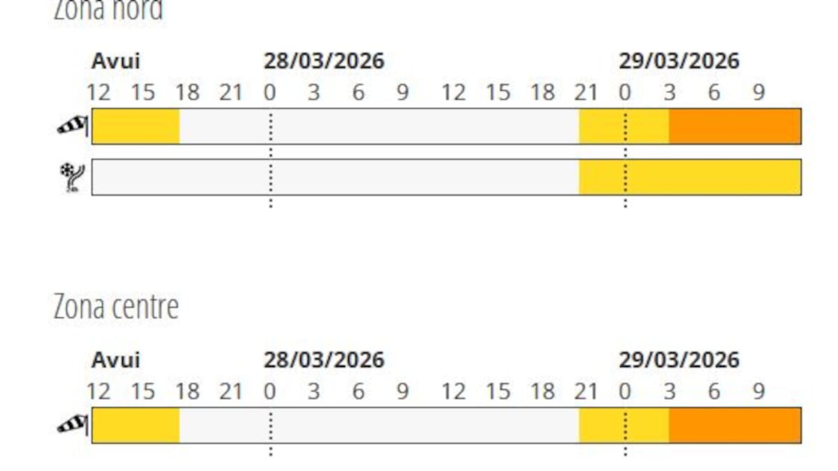 Prealerta per fort vent i neu aquest Diumenge de Rams