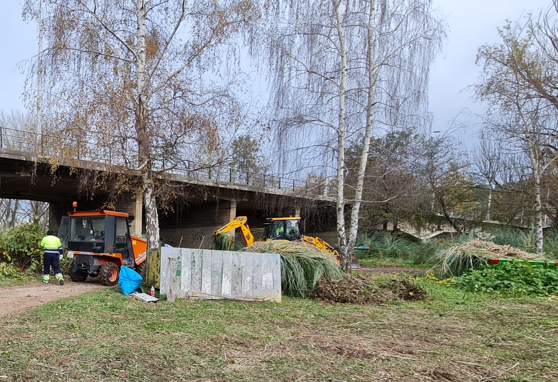 Operarios de Corporaciones Locales en el Parque de Las Tablas