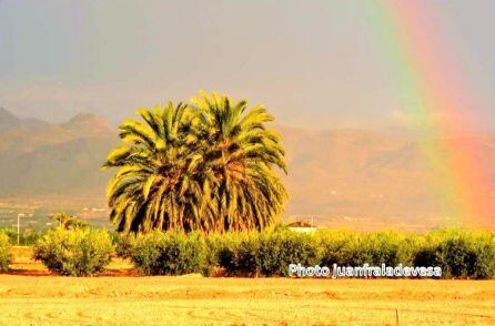Foto de la huerta lorquina en la pedanía de Cazalla.