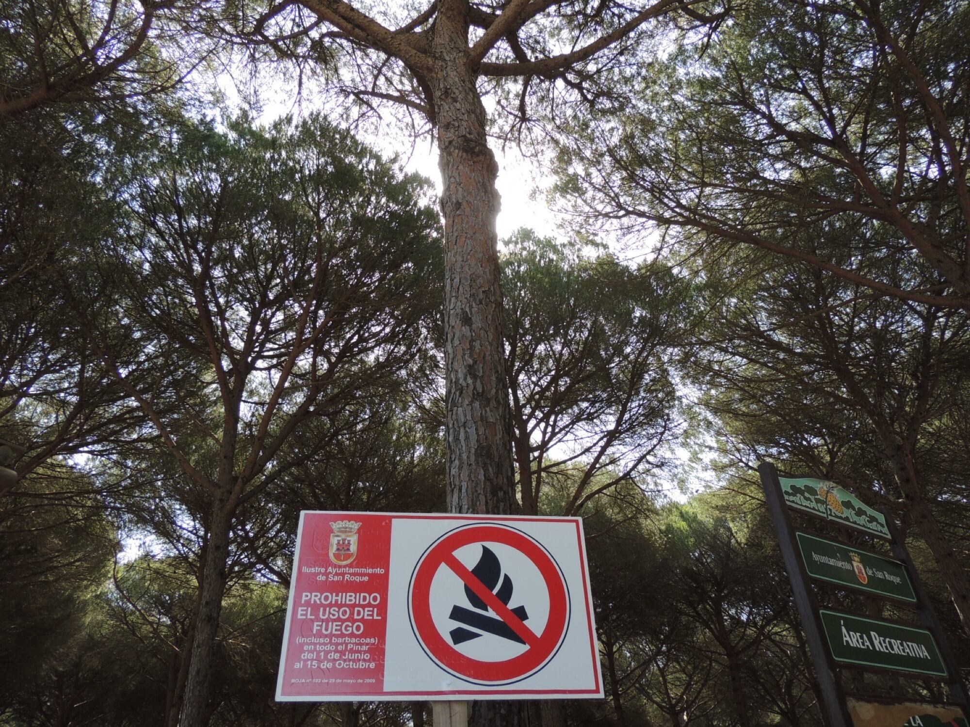 A partir del 1 de junio se prohíbe hacer fuego