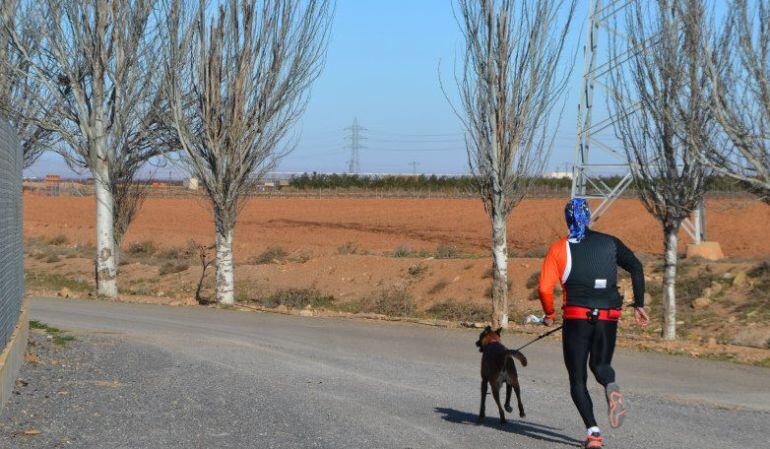 El mushing combina diferentes disciplinas deportivas practicadas con un perro de tiro.