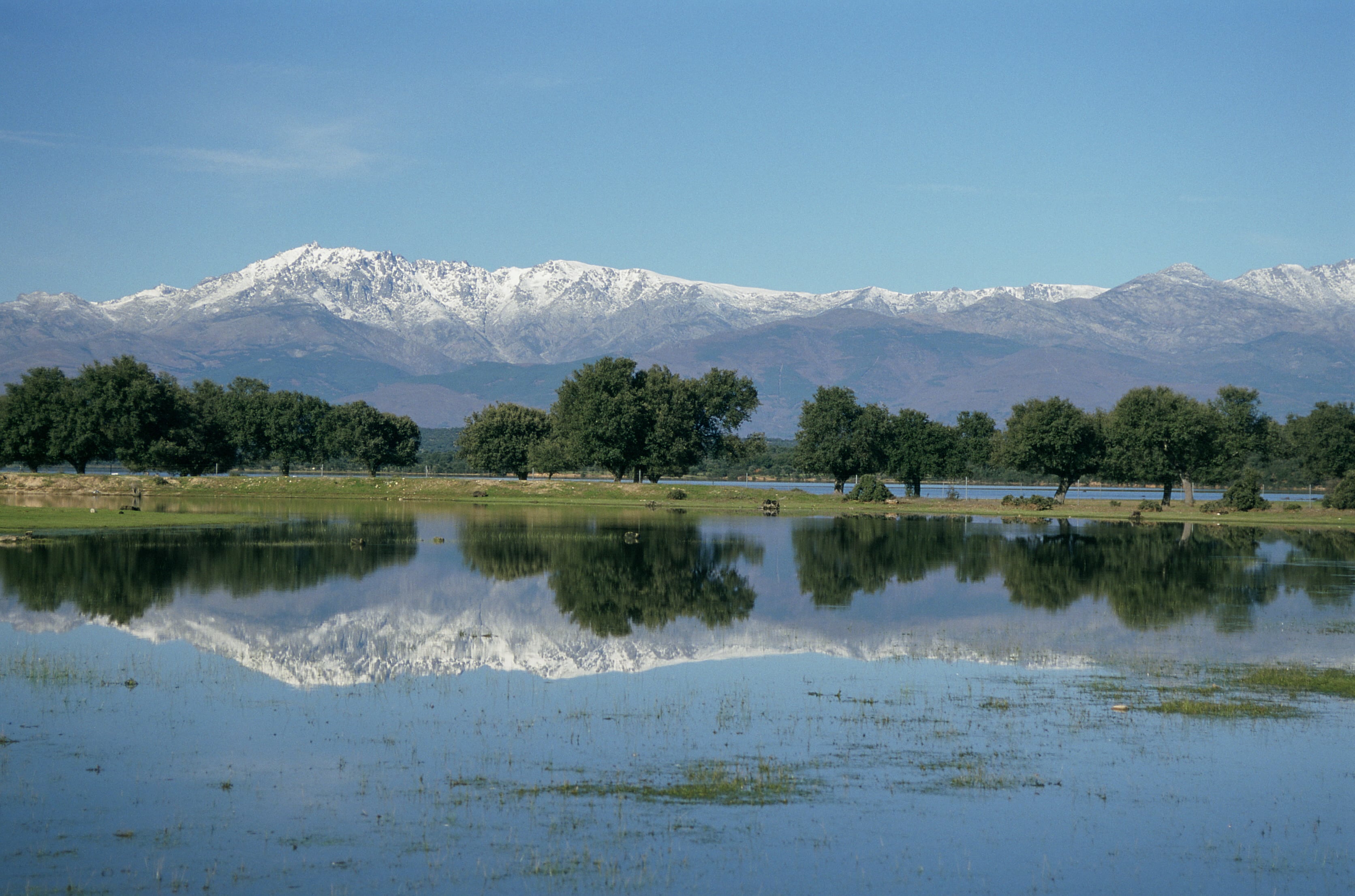 Proyectos sobre ecoturismo