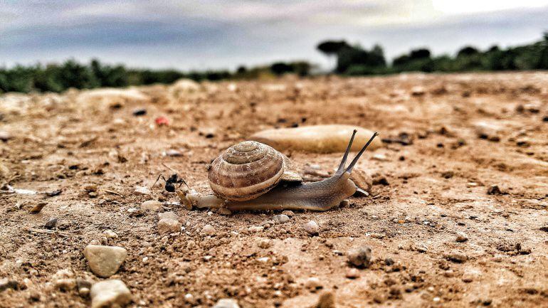 En los últimos 60 años sólo en 1986 llovió menos que en este verano