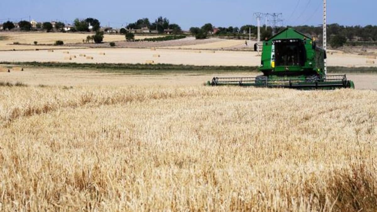 La sequía y el pedrisco han dejado 55.740 hectáreas declaradas siniestro en Soria