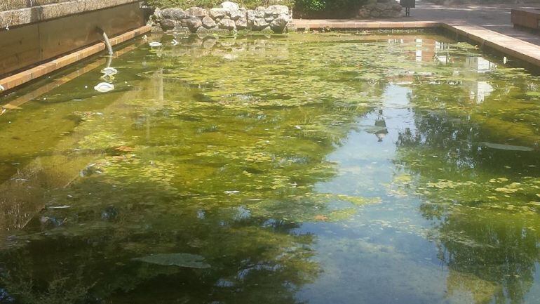 Estanque de Jardinillos