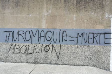 Pintadas en una de las muros de la puerta de cuadrillas de la plaza zamorana