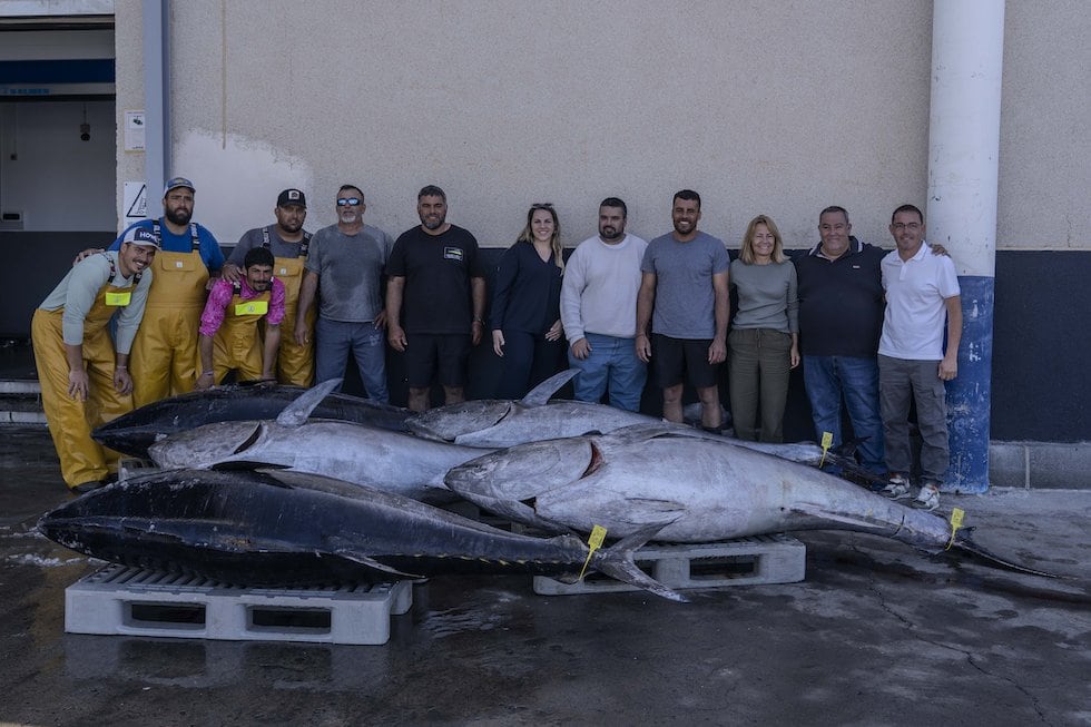 Arguineguín registra la primera descarga de atún rojo en Gran Canaria en 2026