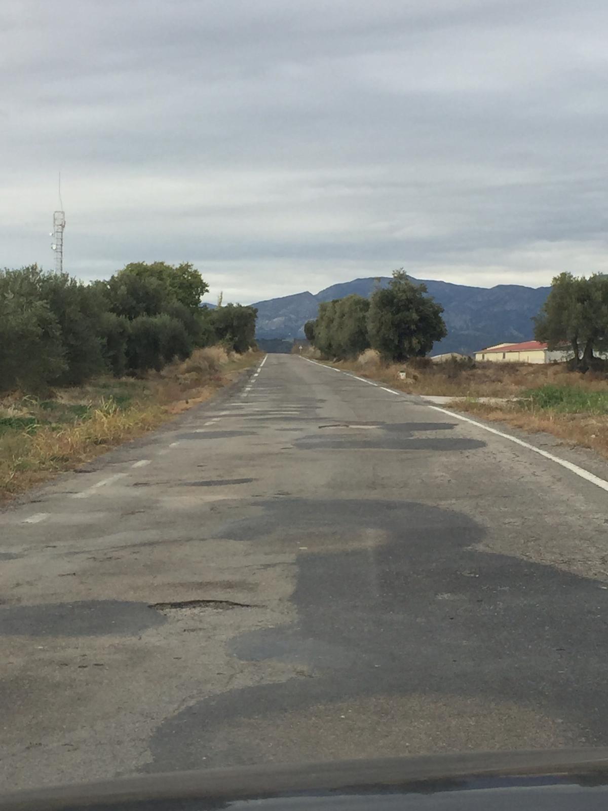 Estado que presenta la carretera A-1228