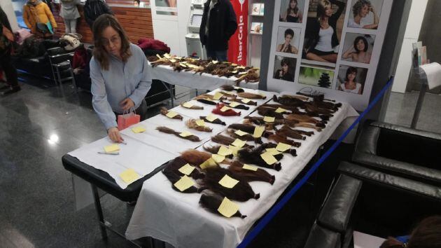 Cabello recogido para la fabricación de pelucas